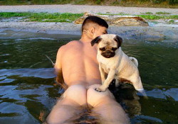   Two of my favorite things : A Pug and a great ass 