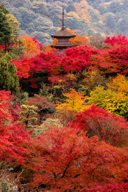 tofuuuuu:  The autumn of Kyoto by takay on Flickr. 
