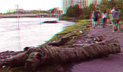 Flooding at the Schuylkill River in Philadelphia. View with red/cyan 3D glasses.
