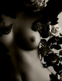 Artistic Nude Photography