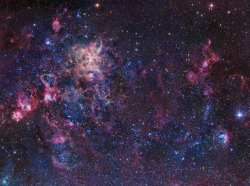 boyastronomer:  A mosaic of the Tarantula Nebula region in the Large Magellanic Cloud. 