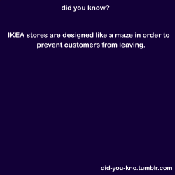 did-you-kno:   The theory is that while following a zig-zag trail between displays of  minimalist Swedish furniture, a disorientated Ikea customer feels  ­compelled to pick up a few extra impulse purchases. Source  I love IKEA so much. 