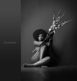 Gladiolus  by Thorsten                Jankowski  