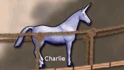 officialdoctorg:  Charlie The Unicorn 1 