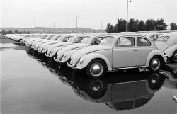 Volkswagen photo by Walter Sanders for LIFE, 1951