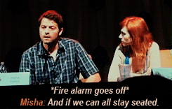 waitinghopingliving:  50shadesofiwannafuckmishacollins:  did he just  It’s alright, guys. Cas has got this 