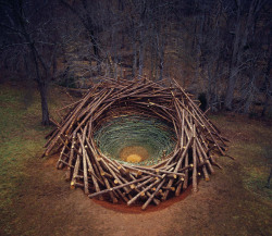 Clemson Clay Nest installation by Nils-Udo, South Carolina&rsquo;s Botanical Garden, 2005