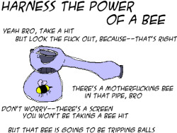 catbountry:   verticalvest:   catbountry:   teratomarty:   psychoholic-hypno-pit:   Bee Smokin’   I’m so naive, this could totally be a real thing and I wouldn’t even know.  It raises some interesting questions, though: How do you get the bee in?