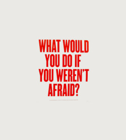 Rephrase the question as - What would &ldquo;we&rdquo; do if &ldquo;we&rdquo; weren&rsquo;t afraid?
