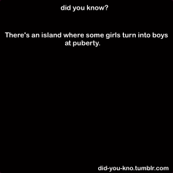 did-you-kno:  On a lush tropical island in a remote area of the Caribbean something,  very peculiar is happening. The young girls in one village are turning  into boys.  This startling sex change is occurring naturally, and a team  of scientists sent
