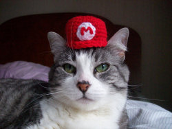 ianbrooks:  Super Mario Bros. Cat Hat by Lori Turnbull Available for purchase at etsy forŮ.50 USD/ea.  (via: fashionablygeek)  