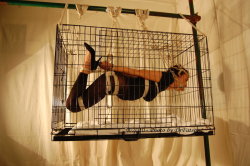 come-to-the-edge:Suspended inside a suspended cage. I am intrigued. Well sure maybe the suspension is plenty but it really couldn&rsquo;t hurt to keep you caged at the same time could it? Besides you probably feel right at home in your cage by now.