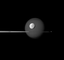 neon-loneliness:  Saturn’s ring with four moons  Cassini Imaging Team, ISS, JPL, ESA, NASA  This Cassini image shows four of Saturn’s Moons.   The largest and  furthest away is cloud shrouded Titan, which has a dark marking called  the north polar