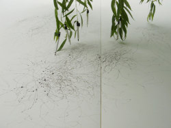 sarahvisualart:  kvelle:  Tree Drawings, Tim Knowles “A series of drawings produced using drawing implements attached to the tips of tree branches, the wind’s effects on the tree recorded on paper. Like signatures each drawing reveals the different