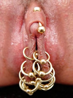 pussymodsgalore  Good sized clit with VCH, pierced inner labia with ten rings. It looks to me as if her outer labia have been removed. If so, this is a more extreme pussy mod than I usually find on here. Looks good! 
