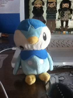 kinokoren:  My sister bought this piplup plushie a few year ago because she felt bad for it. 