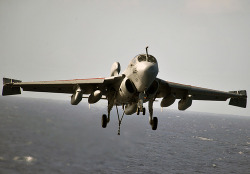 youlikeairplanestoo:  One of my all-time faves, I’ll be sad when the Prowler goes bye-bye. PACIFIC OCEAN (Dec. 24, 2011) An EA-6B Prowler assigned to the Lancers of Electronic Attack Squadron (VAQ) 131 approaches the flight deck of the Nimitz-class