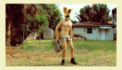 alexanderguerra:   Rabbit Regimen - Jan 2012 - Miami Beach, Florida  -Alexander Guerra  