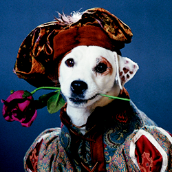 When you&rsquo;re ten and got your nose in a big thick book like &lsquo;A Tale of Two Cities&rsquo; at recess all the time, you tend to get teased. But not if Wishbone said it was cool (and it was!) Thank you, Wishbone, for introducing me to the wonderful