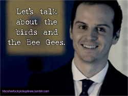 &ldquo;Let&rsquo;s talk about the birds and the Bee Gees.&rdquo;