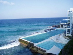 freshume:  rosqua:  vverism:  dici-dici-dici:  liolah:  raysofthesun:  white-beaches:  Bondi Ocean Pool   ASDFGHJKL i’ve always wanted to know where this is! holy shit i need to get here somehow!  love living in aus, the beaches are all beautiful 