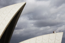 thedailyfeed:  Dancers atop the Sydney Opera House celebrate the Australian Ballet company’s 50th anniversary. For more remarkable photos from today’s Daily Planet, just click. Photo: Getty Images 
