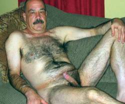 fitoldermen:  Worship hairy gay men with furry hairy bellies. http://www.furworship.com  Milk your daddy&hellip;