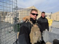 friendleaderp:   Kittens rescued by US Marines in Afghanistan  Yes this can absolutely be on my blog on Memorial Day. 