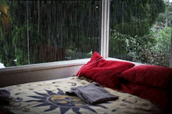 pussyclestroyer:     I’d love to sit there and just drink my tea, listening to the rain      I’d love to have sex there and listen to the rain between moans    there are two kinds of people  