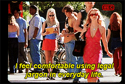 bookshop:  teiledesganzen:  ronstormer:  effinglioness:  ninjabrianhasanstd:  mortallyfoolish:  Elle Woods was hollering back before the movement. This is why i love this movie. It’s so progressive. Elle is a femme feminist who comes by it the hard