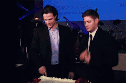 raindropsonimpala-blog:   Jared and Jensen @ Supernatural 100 episode party (⊙)  #I think Jensen was going to instinctively lick the cream from Jared’s finger and then he suddenly realized that they are not alone  