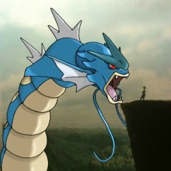 my new hobby: badly photoshopping pokemon into indie hipster photos