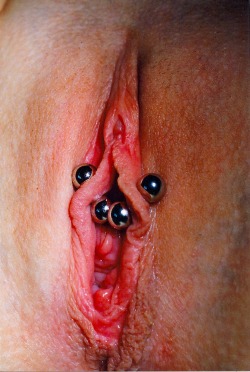 pussymodsgalore  Inner labia piercings with heavy gauge barbells. 