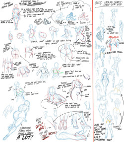 robscorner:  Girly Anatomy Tips  - WARNING! BIG FILE ON MY DA PAGE TO DOWNLOAD AND ENJOY! I decided to draw up some tips for drawing girls, since I _think_ I know what I’m doing with them. A lot of peeps have asked for them, so here’s a bit. Will