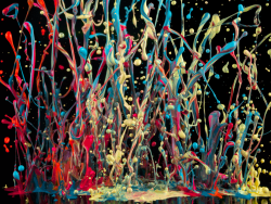 farewell-kingdom:  “What does music look like?” - Painting With Sound by Martin Klimas (via) 