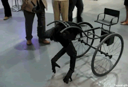 veganatidae:  tacocat-gifs:  Creepy Walking Thing seen on the Kinetica Art Fair, also in my nightmares.  That IS creepy.     idk wtf this erm&hellip;&ldquo;thing&rdquo; is&hellip;thats just something else