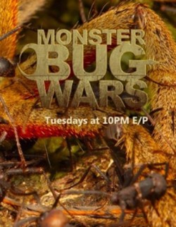          I am watching Monster Bug Wars                                                  519 others are also watching                       Monster Bug Wars on GetGlue.com     