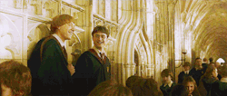 :  HARRY POTTER GIF CHALLENGE | Day 27 | Your favorite friendship 