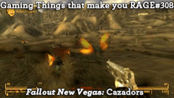 gaming-things-that-make-you-rage:  Gaming Things that make you RAGE #308 Fallout: New Vegas: Cazadors submitted by: boomerdelonge 