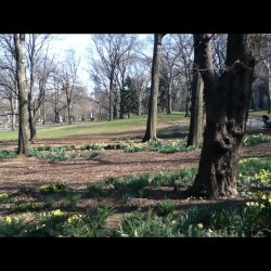 Central Park (Taken with instagram)