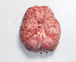 emilymclennon:  yxxck:  florderst:  shawnali:  The first time I held a human brain in Anatomy Lab I was completely speechless. I looked at my classmates expecting a similar reaction and they looked back at me confused like…”dude let’s start identifying