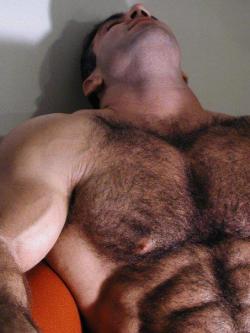 mygaydad:  Here’s what I love: nipples poking out from fur 