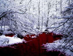 cityspooks:    thescpfoundation:   SCP-354: The Red Pool   SCP-354 is a pool of red liquid located in northern Canada. The liquid is similar in consistency to human blood but is non-biological in nature. The density of the liquid increases proportionally