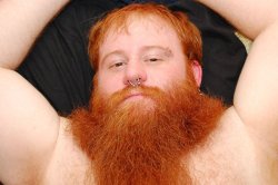 thejoemoose:  grisser:  satyrbuddy:  wedontknowjack:  Beard Ambition.  oh fuck  bbbeeeeeaaarrdddd  I am suffering from SUCH a hard-on right now…fuck…  I love when a big beard and a furry chest collide.