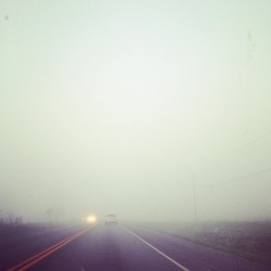 So foggy. #photography #iphoneography #instagram #fog #morning #lights (Taken with instagram)
