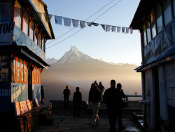 visitheworld: Breathtaking view of Machapuchare peak from Tadapani, Nepal (by OliviaBlockeyPhoto).