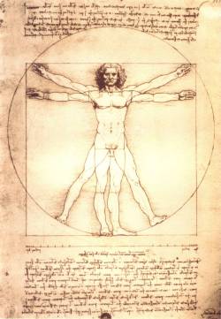  Vitruvian Man, c. 1490 by Leonardo da Vinci 
