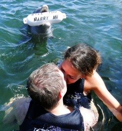 amargedom:  wow so the dolphin asked her to marry him and she kisses the other guy right in front of him rude ass bitch 