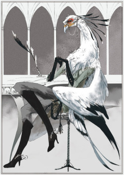 fyeahsecretarybirds:  Whao. Those are quite some legs.  This is pretty cool but whoa, there&rsquo;s an fyeah secretary birds?? That&rsquo;s badass. Is there an Fyeah Shoebills??? I can&rsquo;t find one. I AM REMEDYING THIS SITUATION NOW