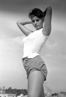 bohemea:  Sophia Loren 